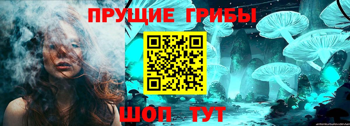 Галлюциногенные грибы прущие грибы  Вход с VPN  Энгельс 