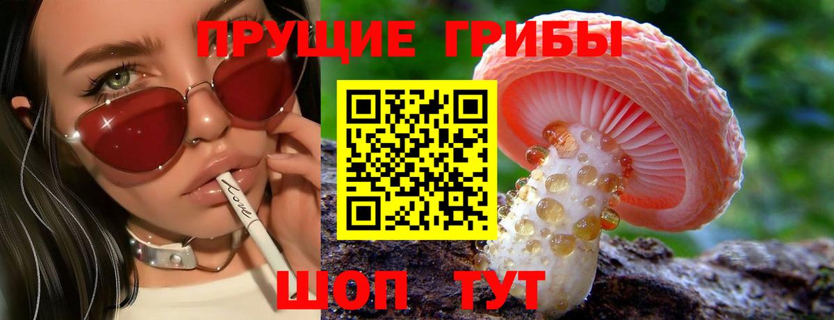 Псилоцибиновые грибы мицелий Энгельс
